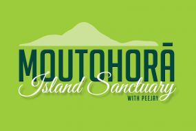 Moutohorā/Whale Island Sanctuary